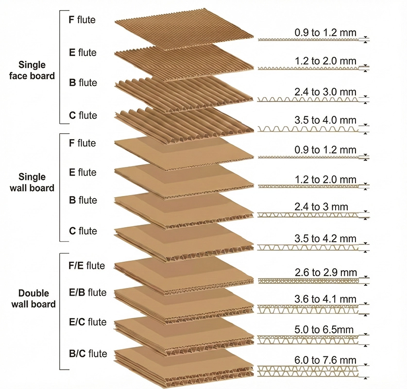 Profils de cannelure ondulée typiques et structures de cartons simples ou doubles paroi
